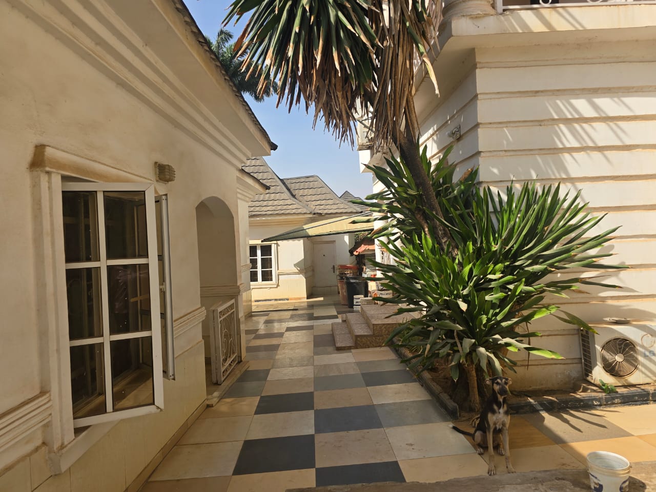 WhatsApp Image 2025-02-18 at 3.16.19 PM