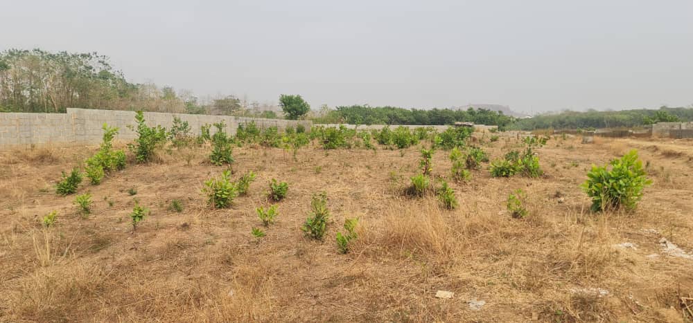 WhatsApp Image 2025-04-14 at 4.30.10 AM (1)