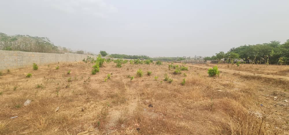 WhatsApp Image 2025-04-14 at 4.30.10 AM (2)