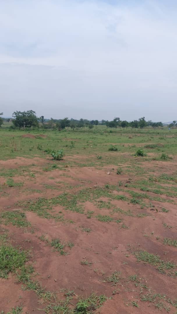 WhatsApp Image 2025-06-21 at 11.43.13 AM