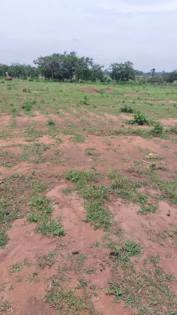 WhatsApp Image 2025-06-21 at 11.44.07 AM