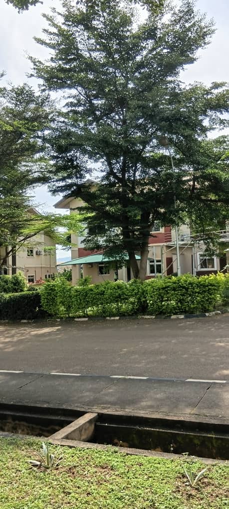 WhatsApp Image 2025-10-08 at 15.35.45_50d1dec1